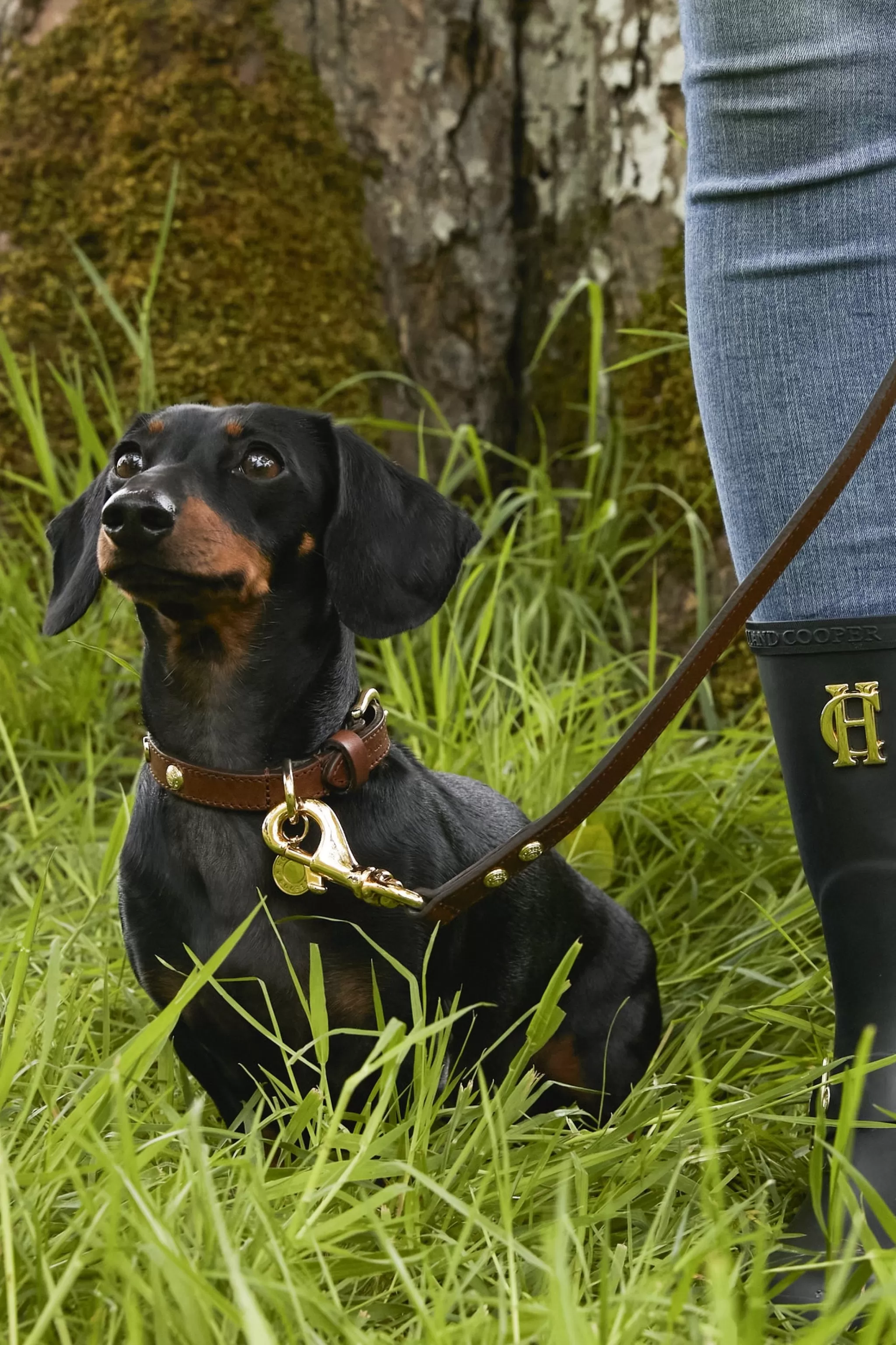HC Slim Dog Lead>Holland Cooper Flash Sale